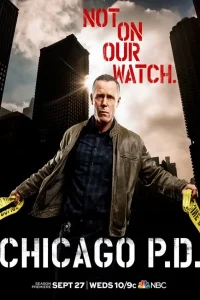 Полиция Чикаго 6 Сезон (2019)
