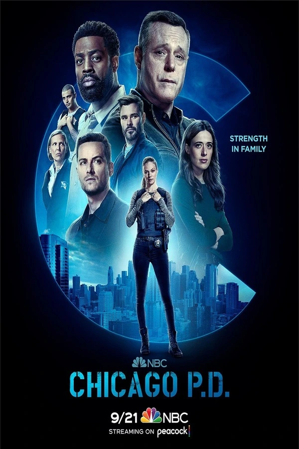 Полиция Чикаго 3 Cезон (2016)